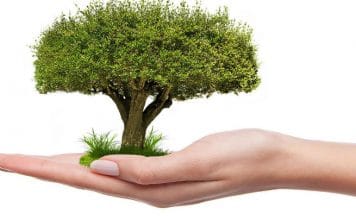 4 razones por las que las personas me llevan a no desear aprender o crecer.