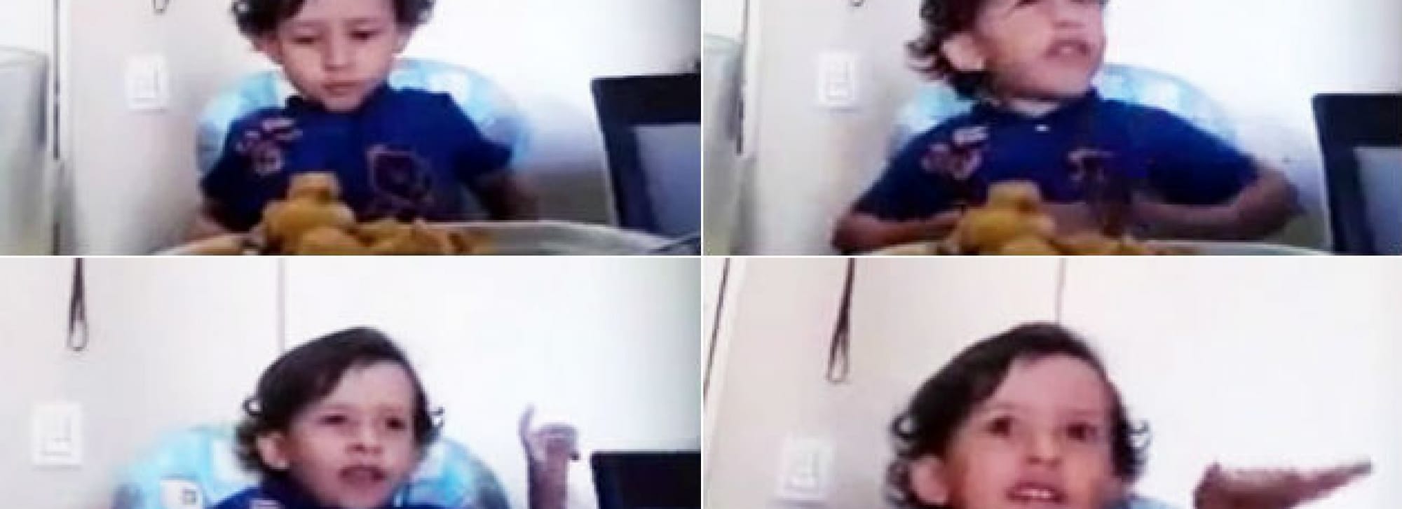 VIDEO: Un niño explica por qué no quiere comer animales