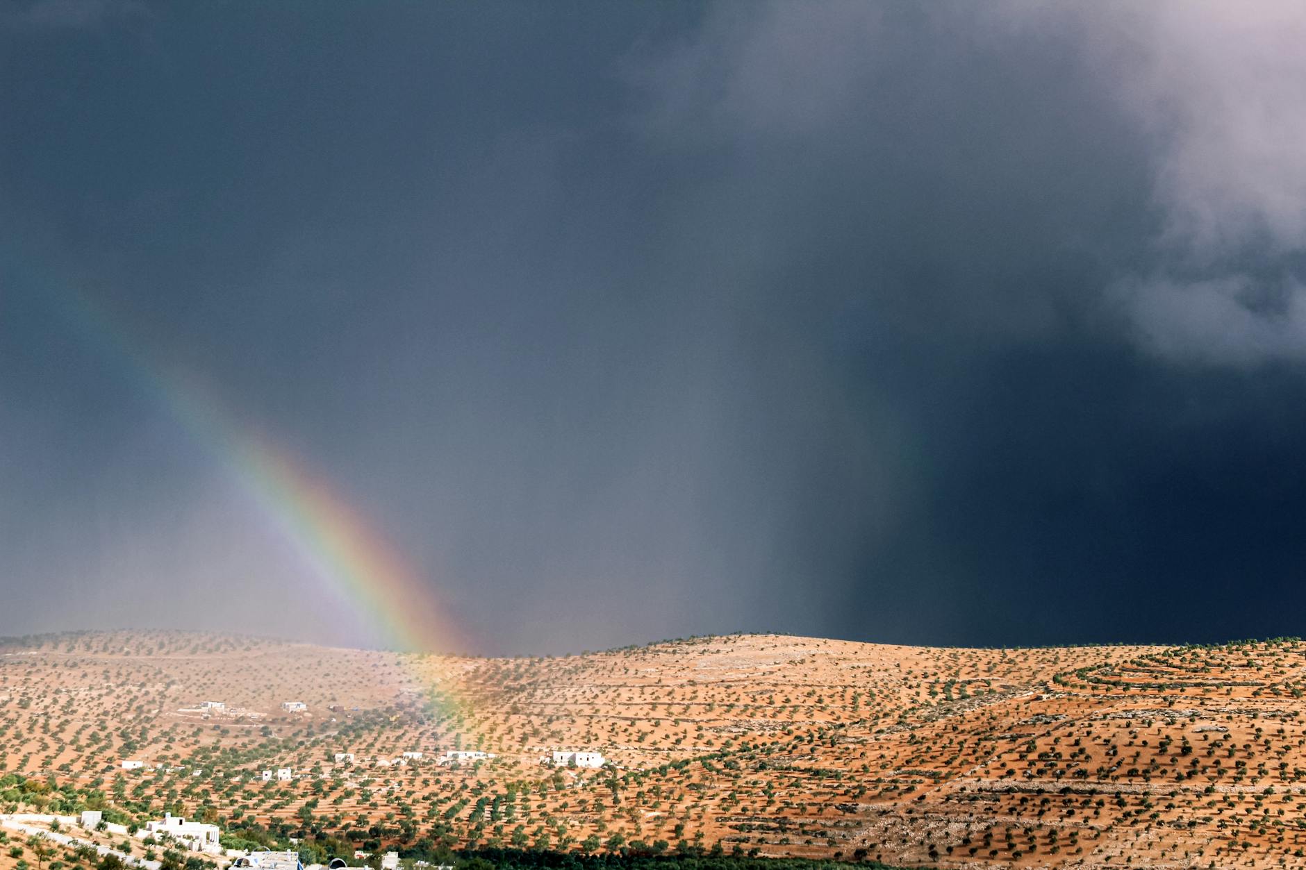 ¿Te encuentras en medio de una tormenta?
