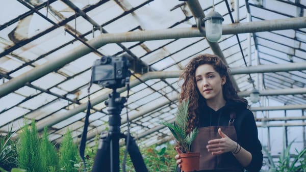 5 Tips para mejorar visualmente tus transmisiones en vivo
