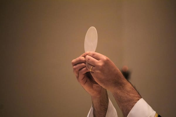 El cuerpo de Cristo y sus funciones
