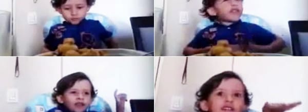 VIDEO: Un niño explica por qué no quiere comer animales