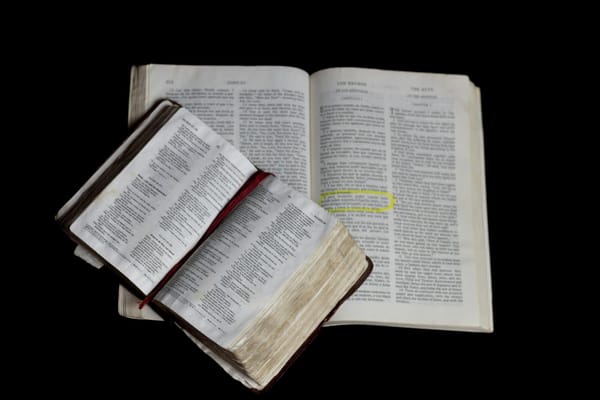 Nueva Biblia App para Android